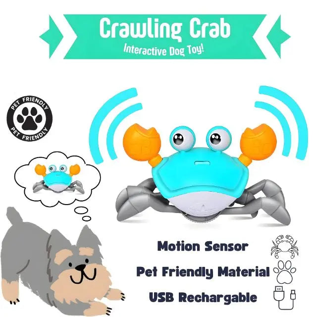 Crawling Crab - Interactive Toy for Pups Soliqlo