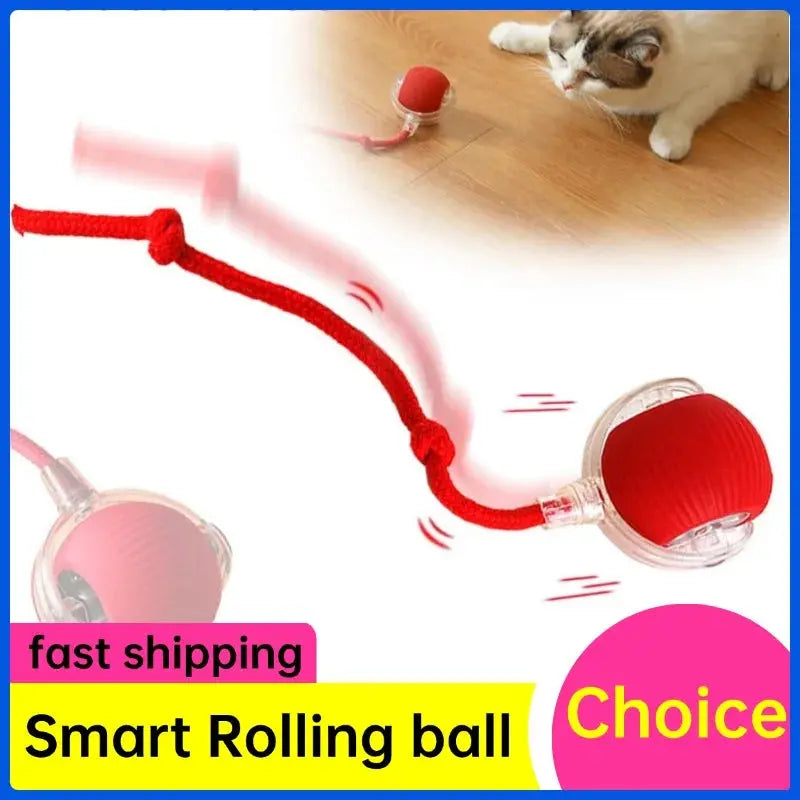 Interactive Cat Rolling Ball Super Drive Cat Rolling Balls With Bird Chirping Motion Activated Sensor Pet Kitten Teaser Game Toy Soliqlo