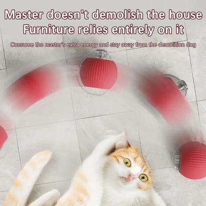 Interactive Cat Rolling Ball Super Drive Cat Rolling Balls With Bird Chirping Motion Activated Sensor Pet Kitten Teaser Game Toy Soliqlo