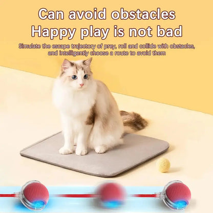 Interactive Cat Rolling Ball Super Drive Cat Rolling Balls With Bird Chirping Motion Activated Sensor Pet Kitten Teaser Game Toy Soliqlo