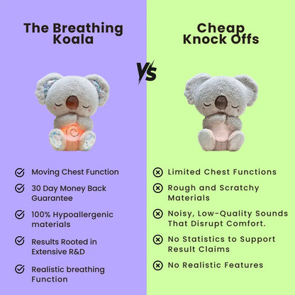 The Breathing Koala Soliqlo