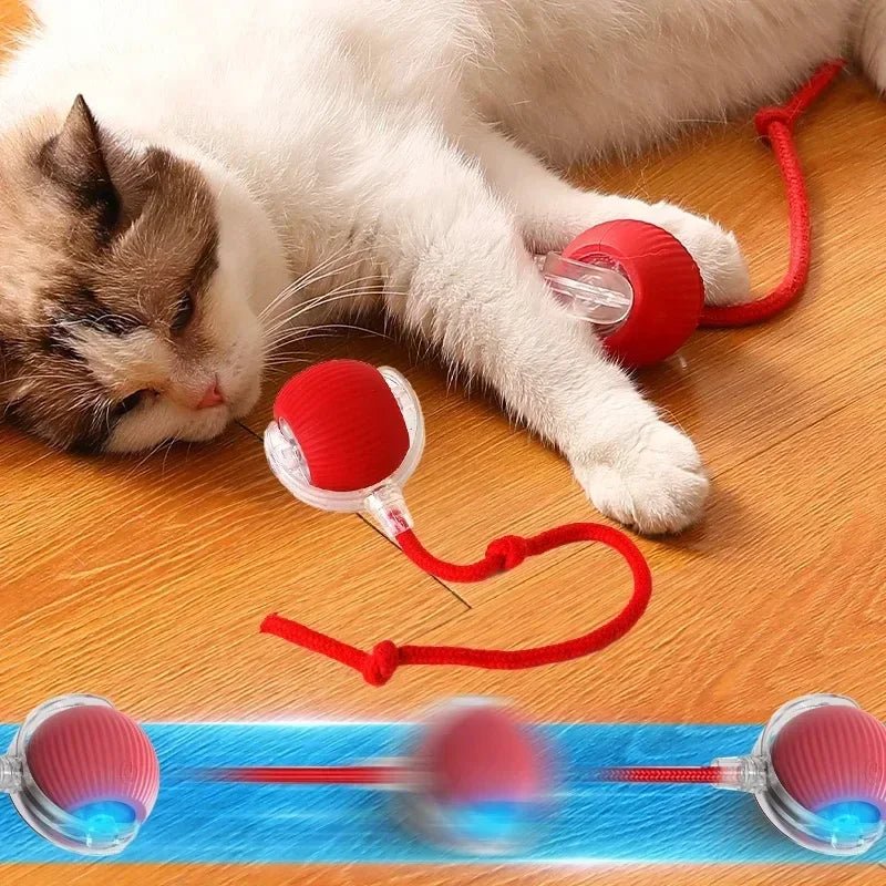 Cat Joy Sphere | Plush Cat Toy Ball – Fun & Interactive - Soliqlo