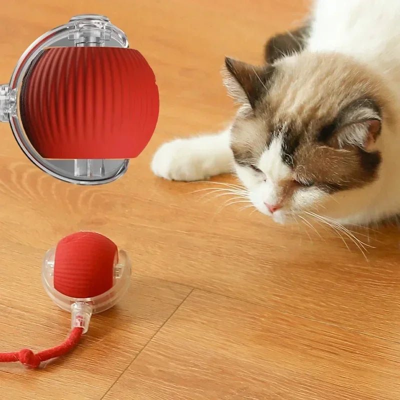 Cat Joy Sphere | Plush Cat Toy Ball – Fun & Interactive - Soliqlo
