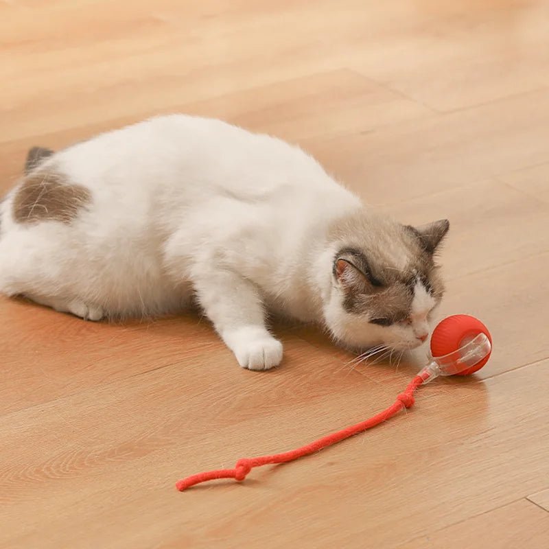 Cat Joy Sphere | Plush Cat Toy Ball – Fun & Interactive - Soliqlo