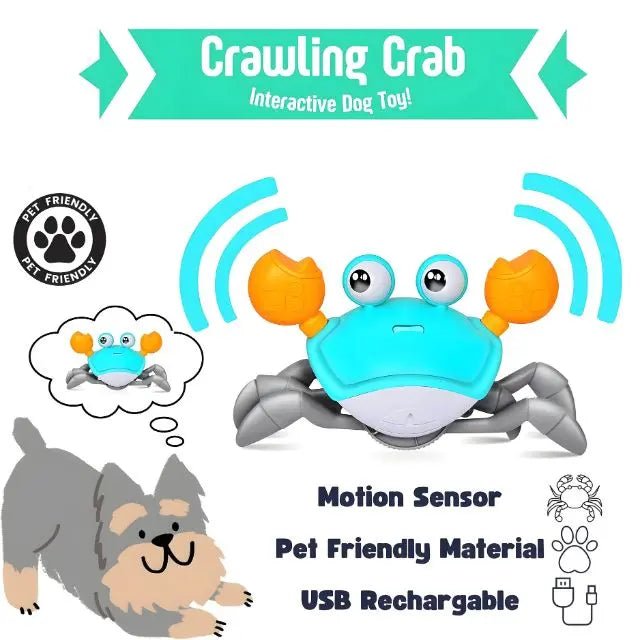 Crabby Paws - Soliqlo