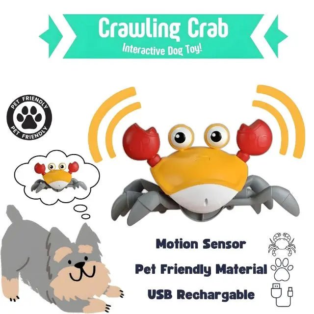 Crabby Paws - Soliqlo