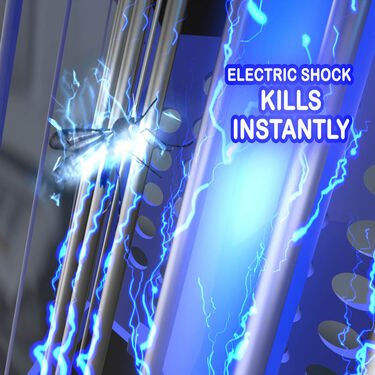 Electric Shock Mosquito Killer Night Lamp - BOGO - Soliqlo