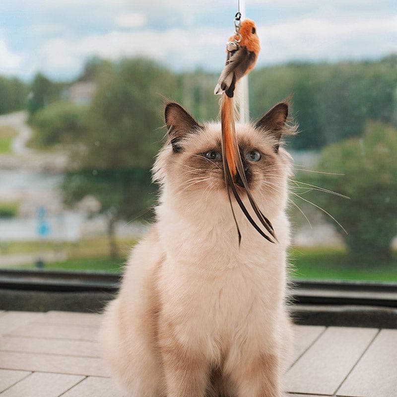Feather Pounce Simulation Cat Toy Set - Soliqlo