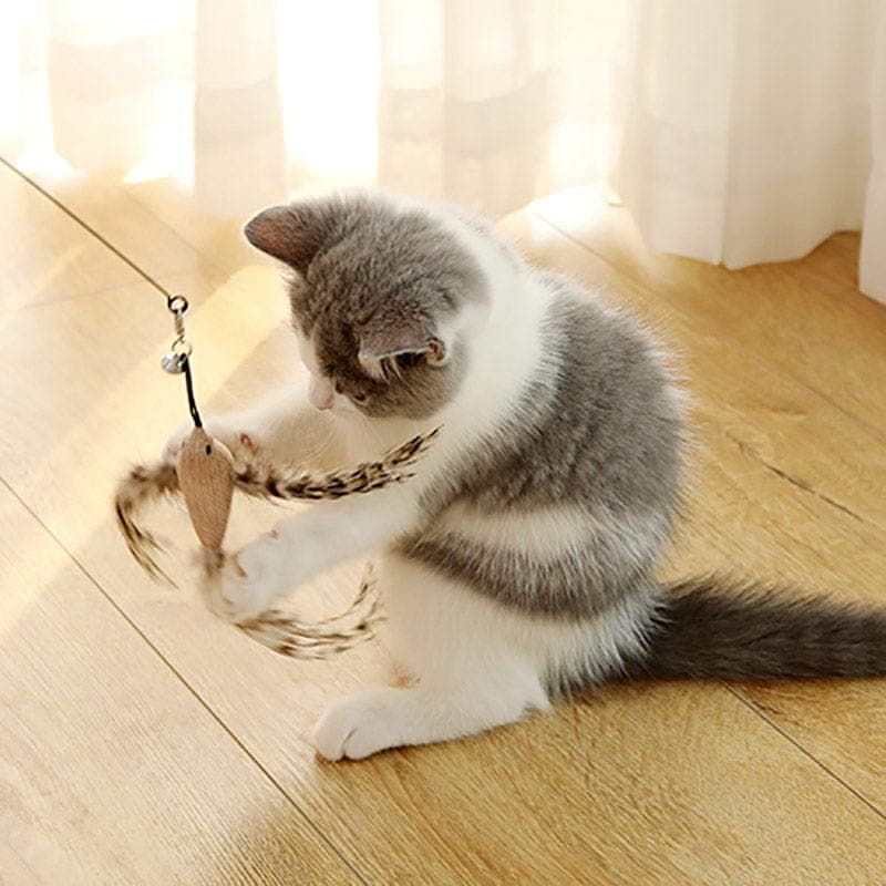 Feather Pounce Simulation Cat Toy Set - Soliqlo
