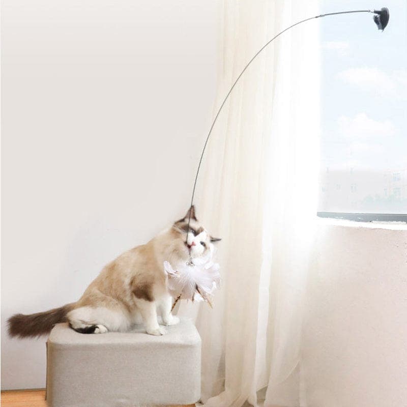 Feather Pounce Simulation Cat Toy Set - Soliqlo