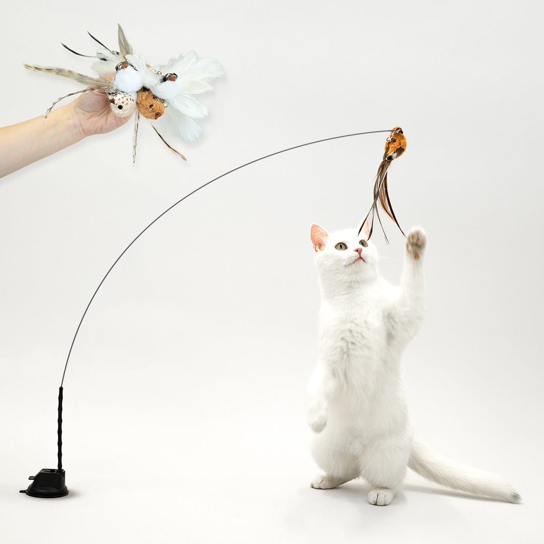 Feather Pounce Simulation Cat Toy Set - Soliqlo
