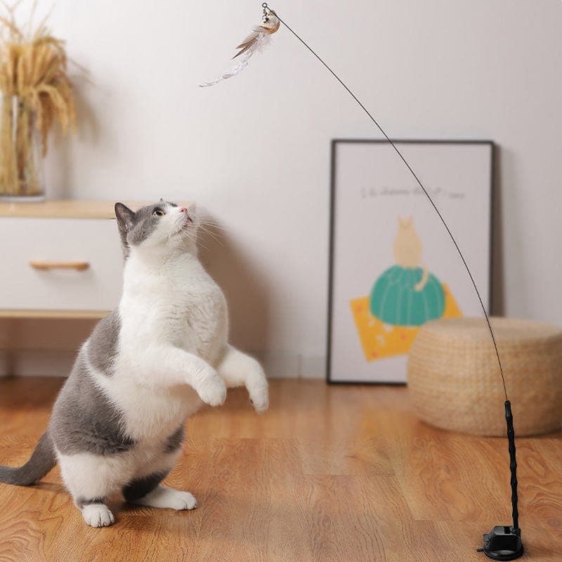 Feather Pounce Simulation Cat Toy Set - Soliqlo