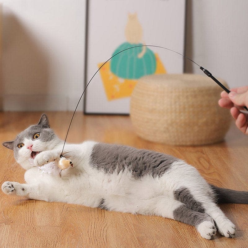 Feather Pounce Simulation Cat Toy Set - Soliqlo