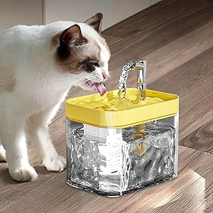 Fontanella Automatica ANIMALIACCESSORI™ - Soliqlo