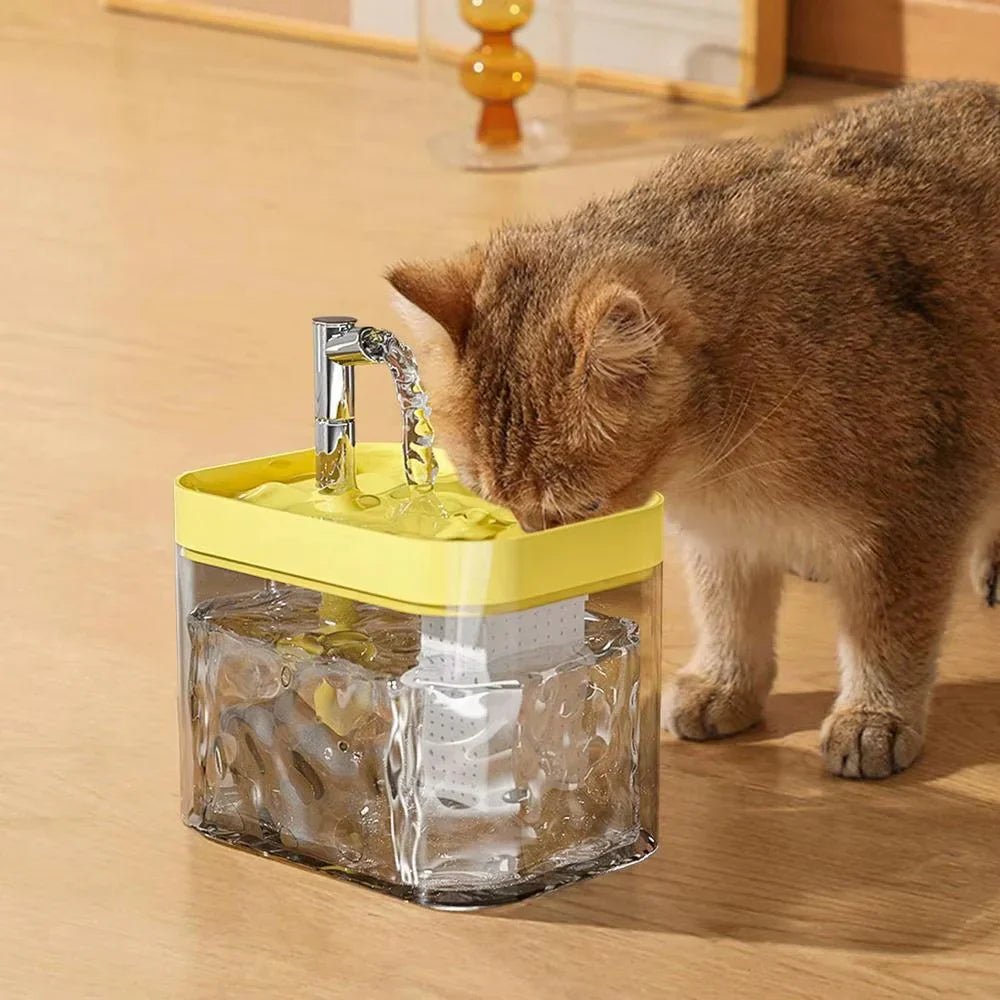 Fontanella Automatica ANIMALIACCESSORI™ - Soliqlo