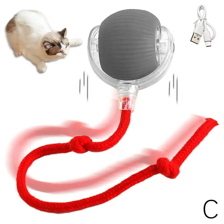 Interactive Rolling Ball - Soliqlo