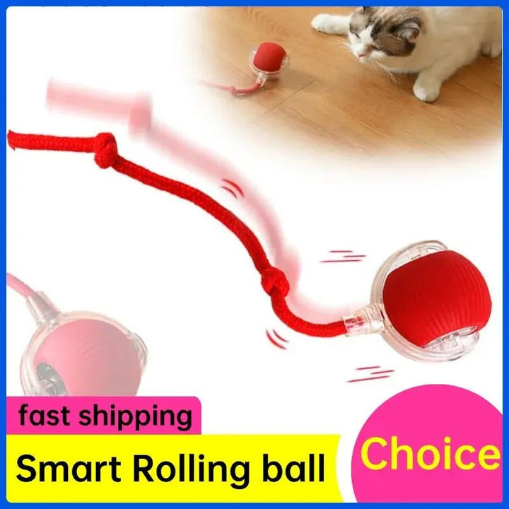 Interactive Rolling Ball - Soliqlo