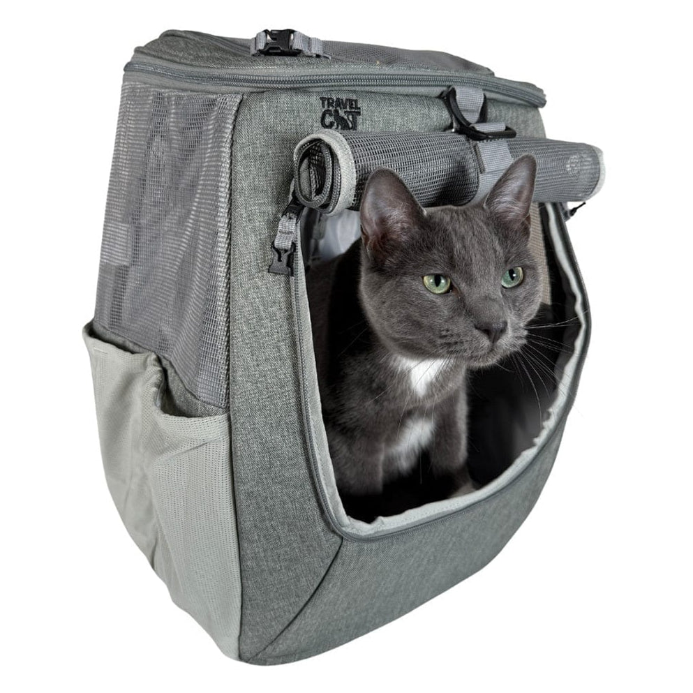 Meow Voyager - For Adventurous Cats and Humans - Soliqlo