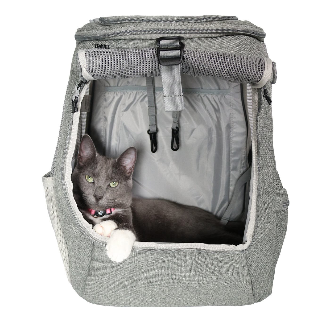 Meow Voyager - For Adventurous Cats and Humans - Soliqlo