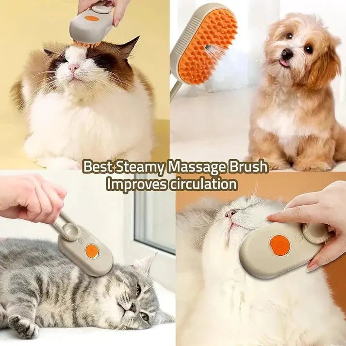 Pawsion Cat Steam Brush - Soliqlo