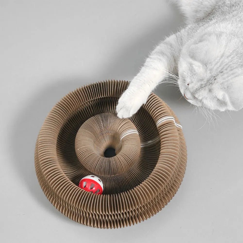 Scratch Symphony | Magic Organ Cat Scratcher – Interactive Claw Toy. - Soliqlo