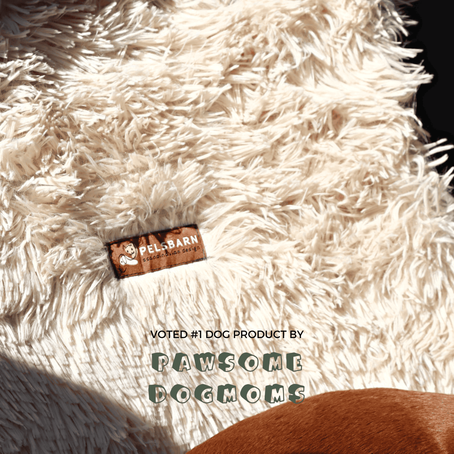 Soliqlo Comfy Cruze | Built for blissful road naps. - Soliqlo