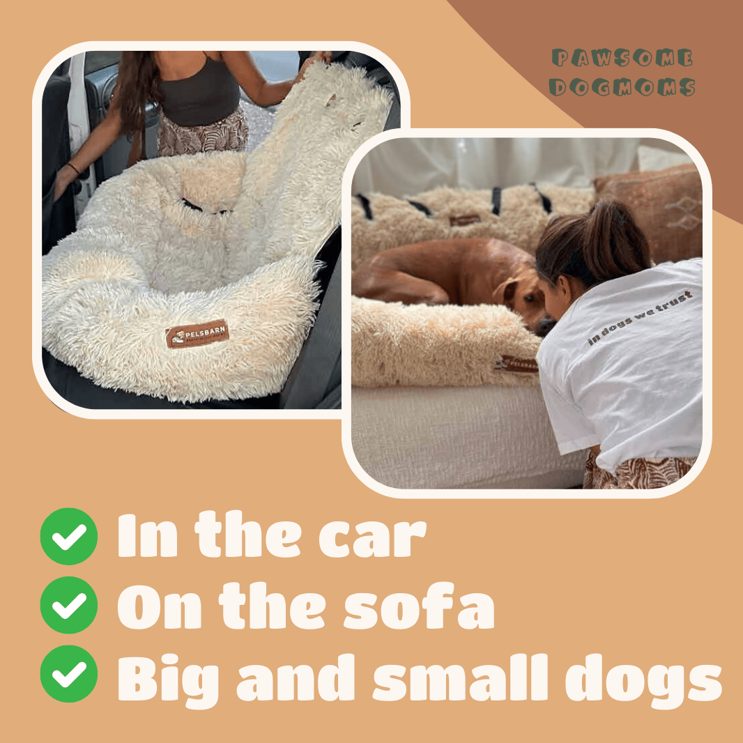 Soliqlo Comfy Cruze | Built for blissful road naps. - Soliqlo