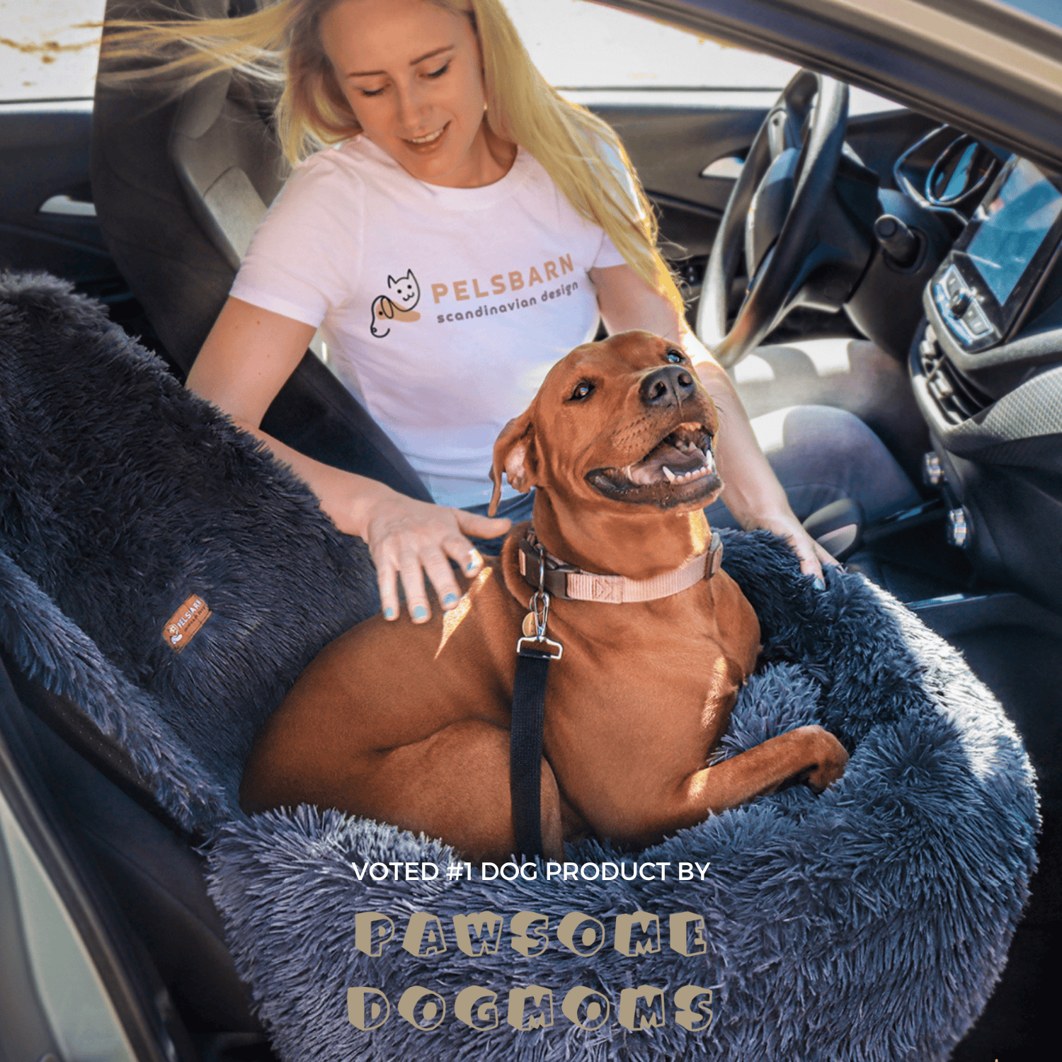 Soliqlo Comfy Cruze | Built for blissful road naps. - Soliqlo