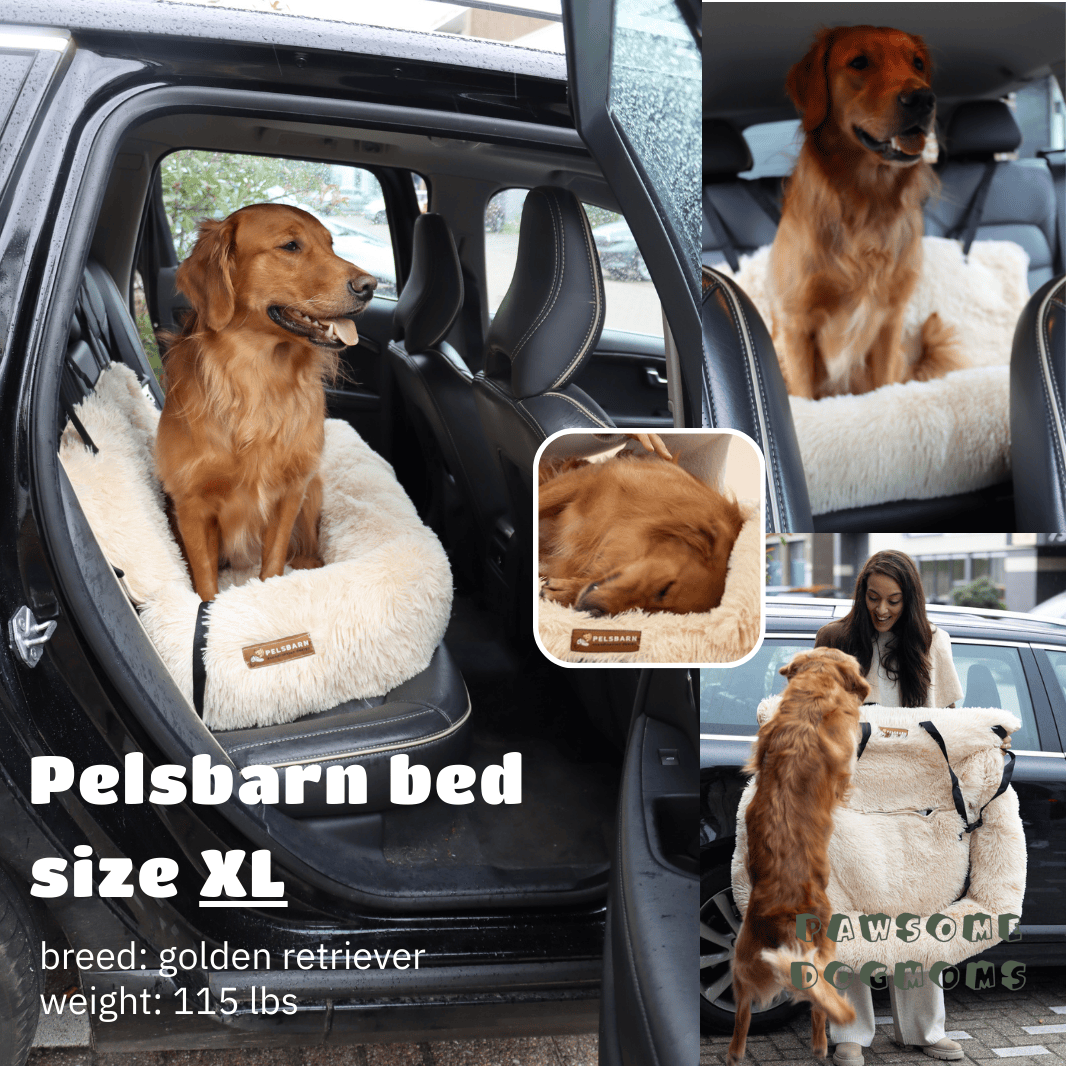 Soliqlo Comfy Cruze | Built for blissful road naps. - Soliqlo