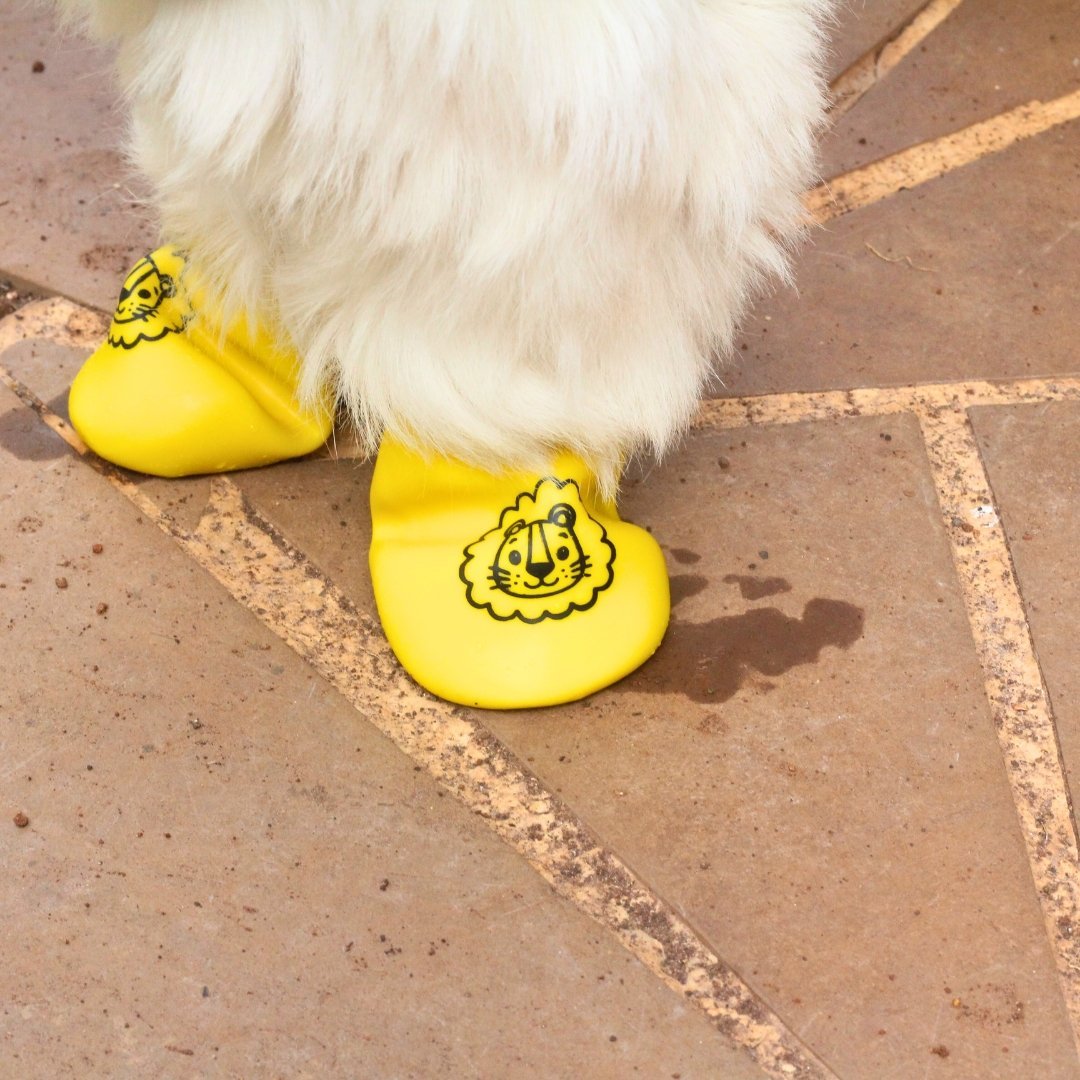 Zoof Boots - Tiny Rawr - Soliqlo